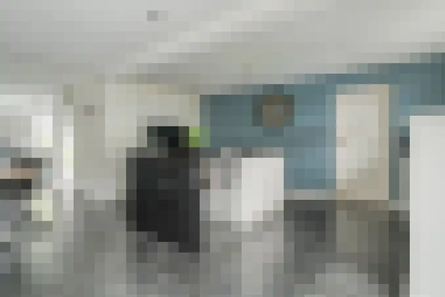 Zwaluwtong 1 Nijverdal thumbnail 15