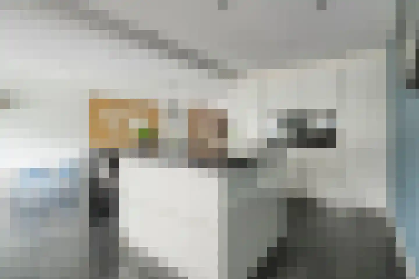 Zwaluwtong 1 Nijverdal thumbnail 17