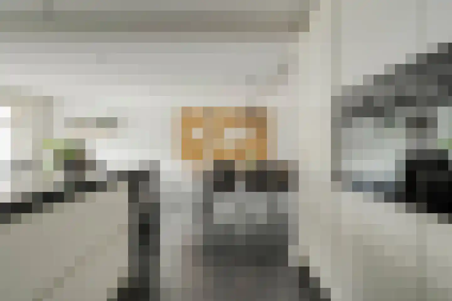 Zwaluwtong 1 Nijverdal thumbnail 18