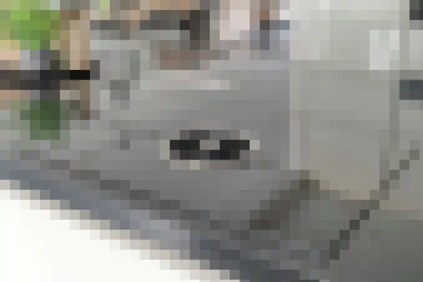 Zwaluwtong 1 Nijverdal thumbnail 20