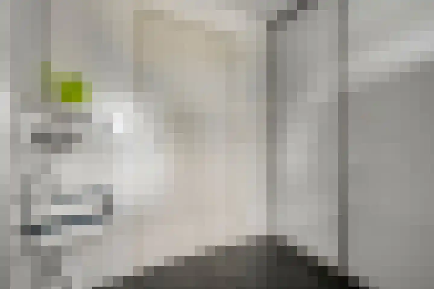 Zwaluwtong 1 Nijverdal thumbnail 23