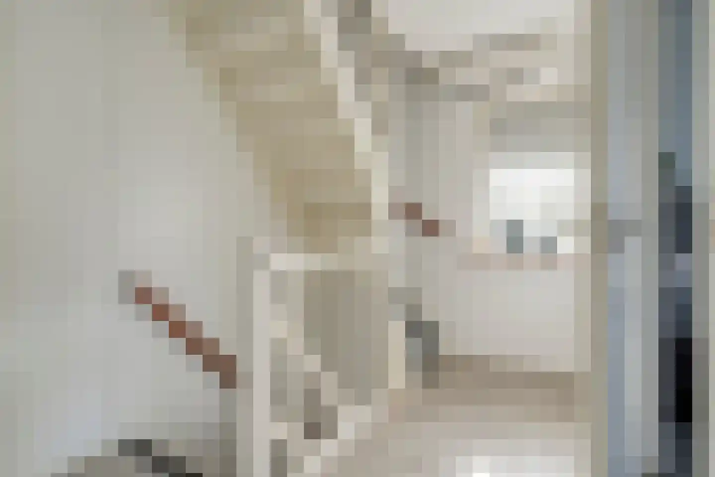 Zwaluwtong 1 Nijverdal thumbnail 25