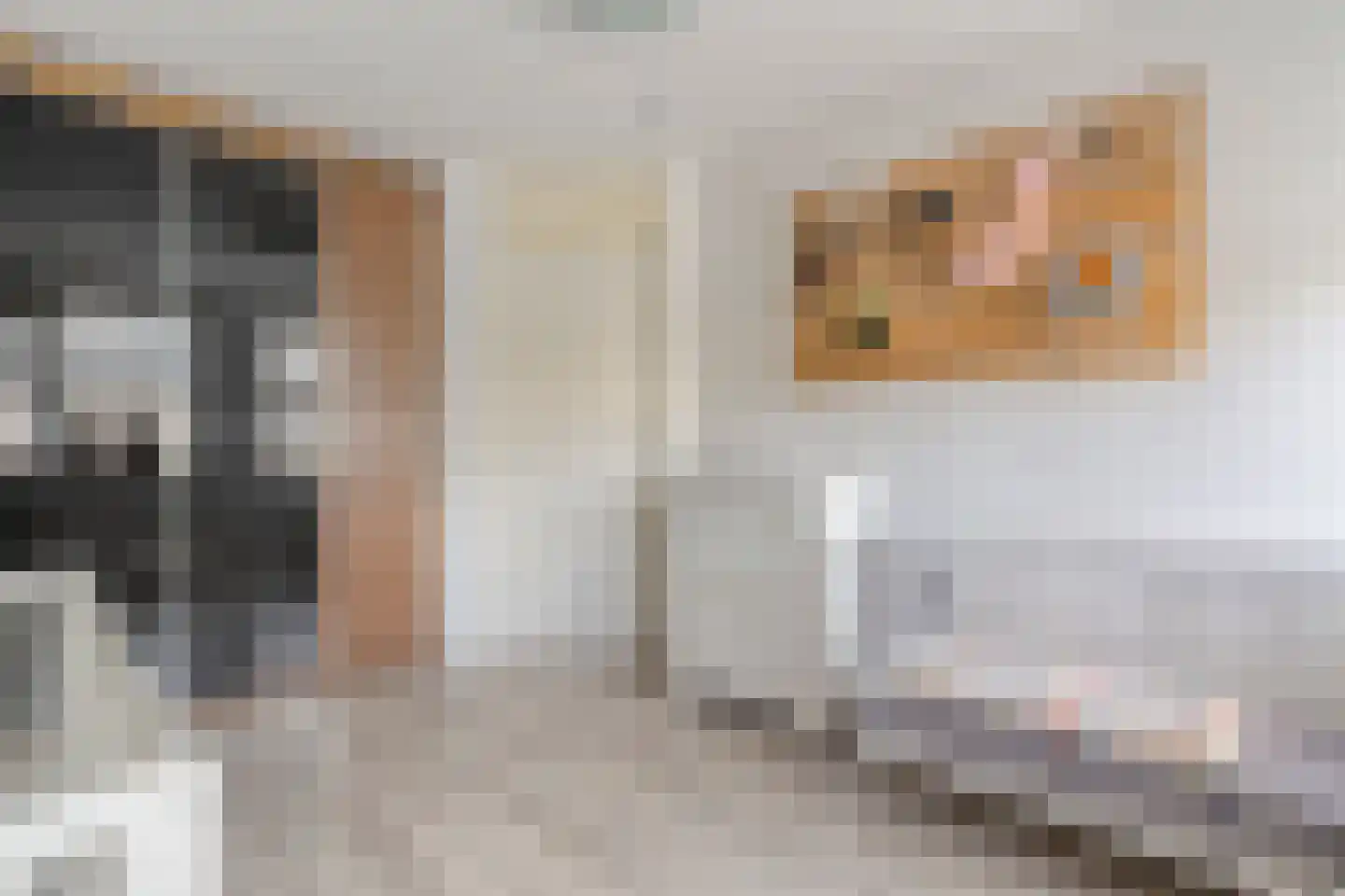 Zwaluwtong 1 Nijverdal thumbnail 30
