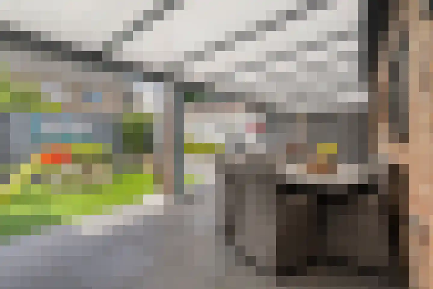 Zwaluwtong 1 Nijverdal thumbnail 36