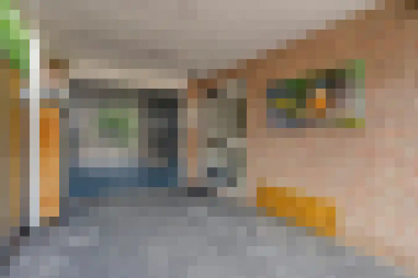 Zwaluwtong 1 Nijverdal thumbnail 4