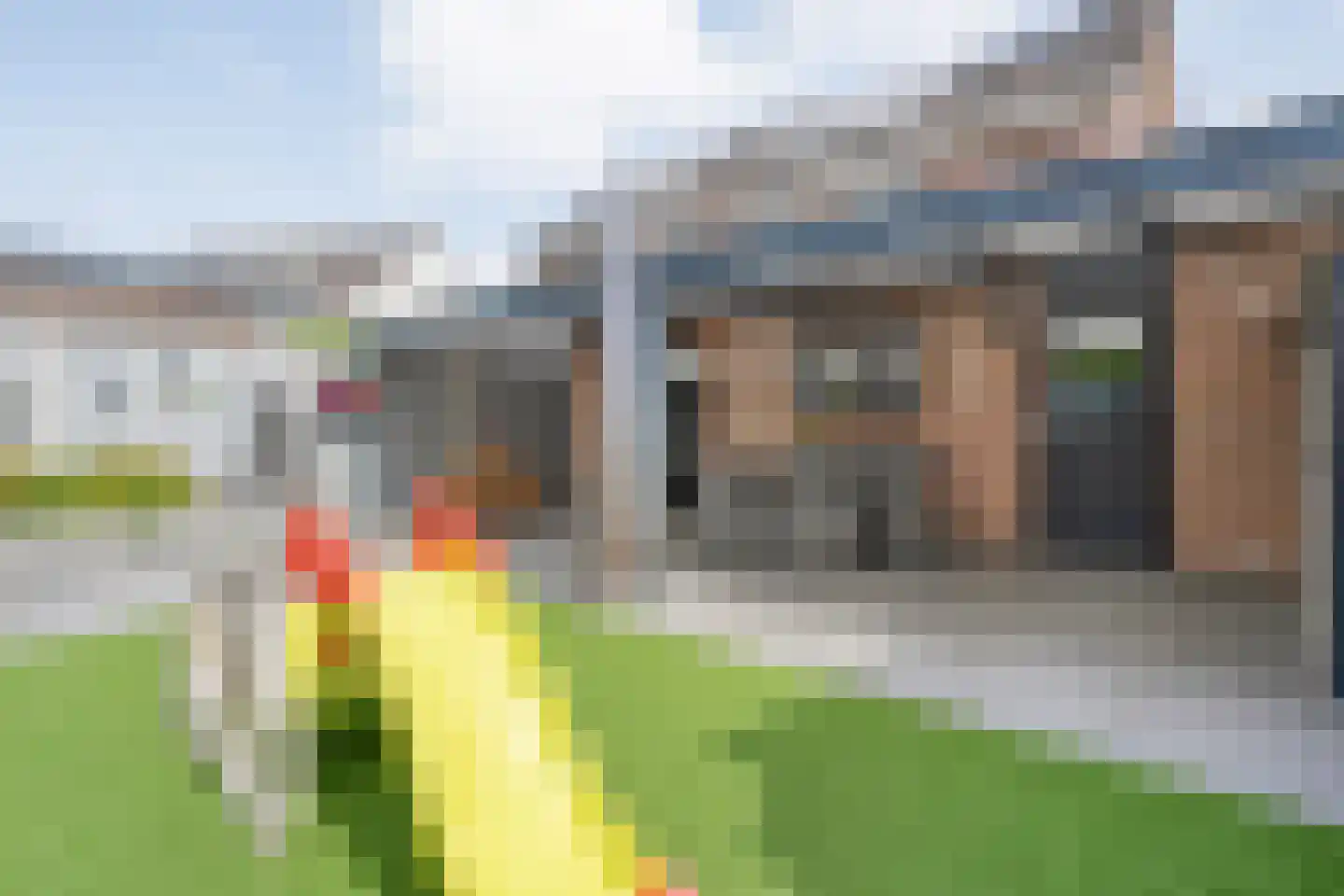 Zwaluwtong 1 Nijverdal thumbnail 42