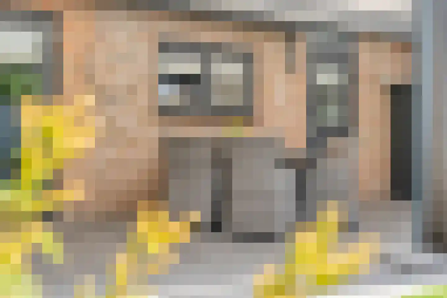 Zwaluwtong 1 Nijverdal thumbnail 45