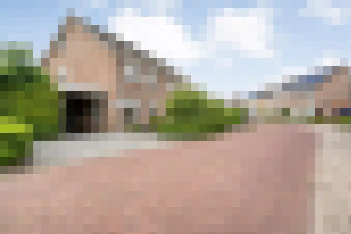Zwaluwtong 1 Nijverdal thumbnail 49