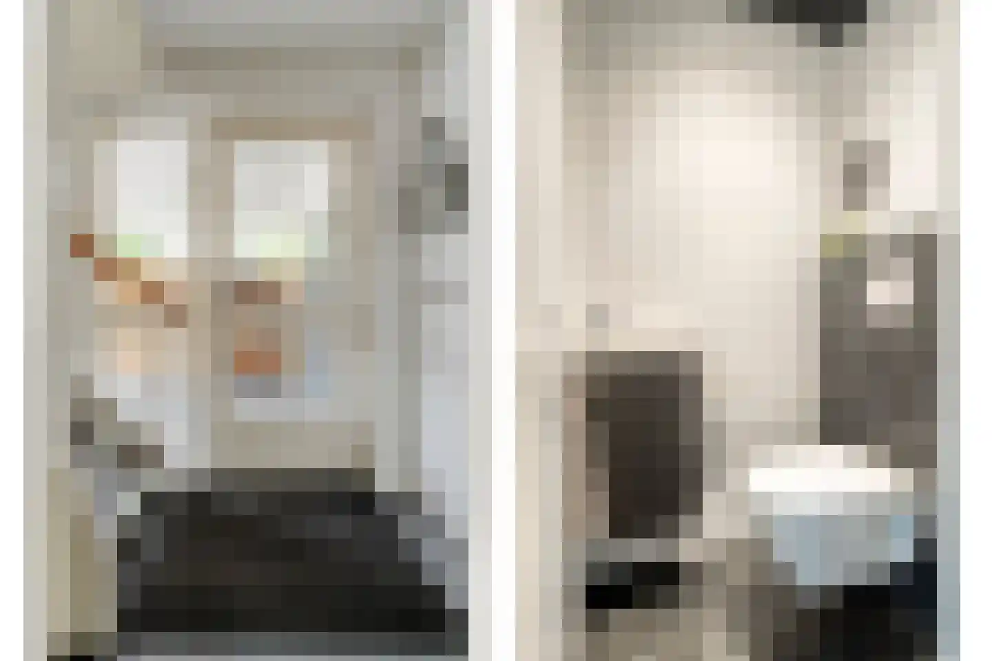Zwaluwtong 1 Nijverdal thumbnail 5
