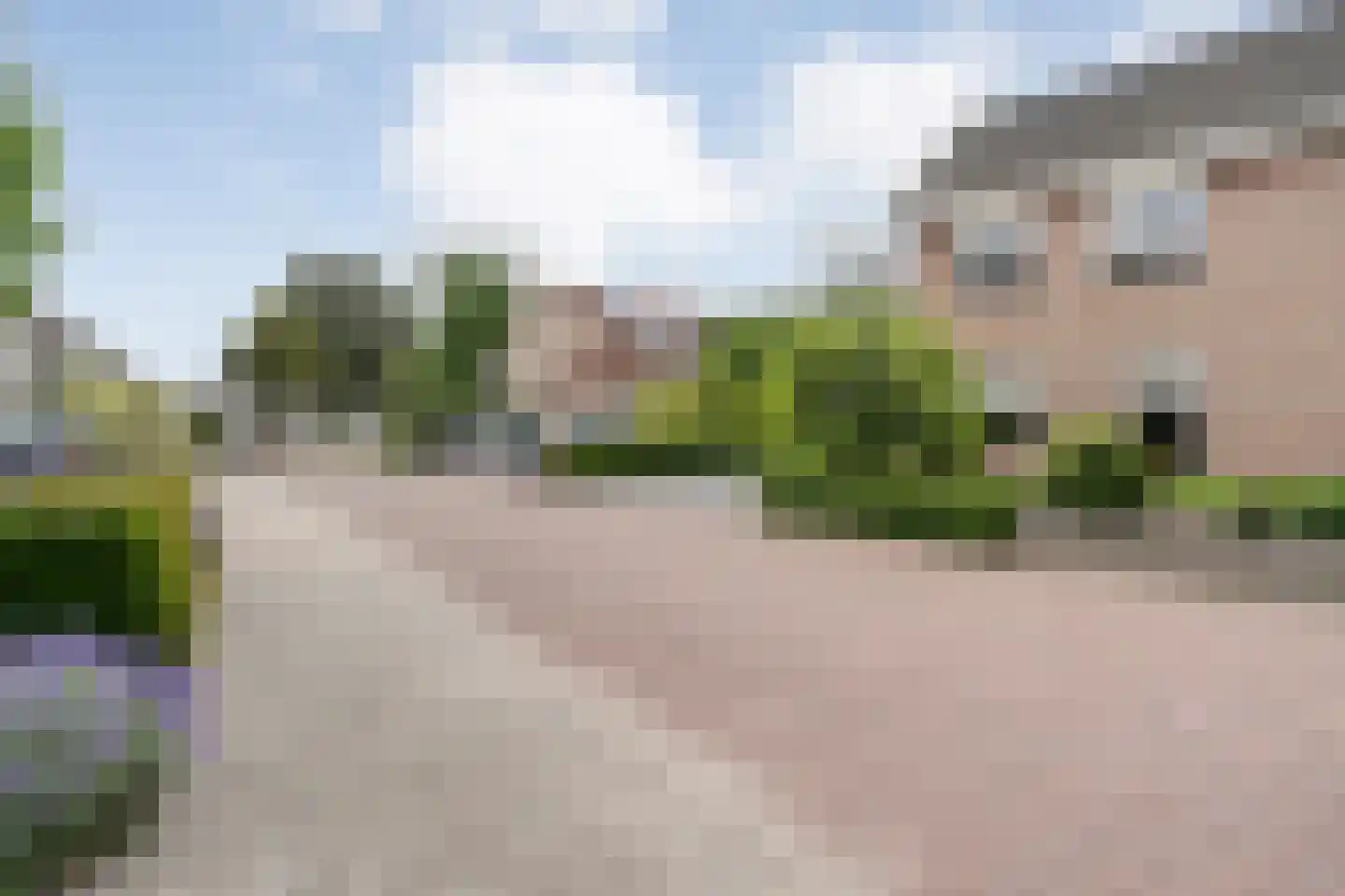 Zwaluwtong 1 Nijverdal thumbnail 50