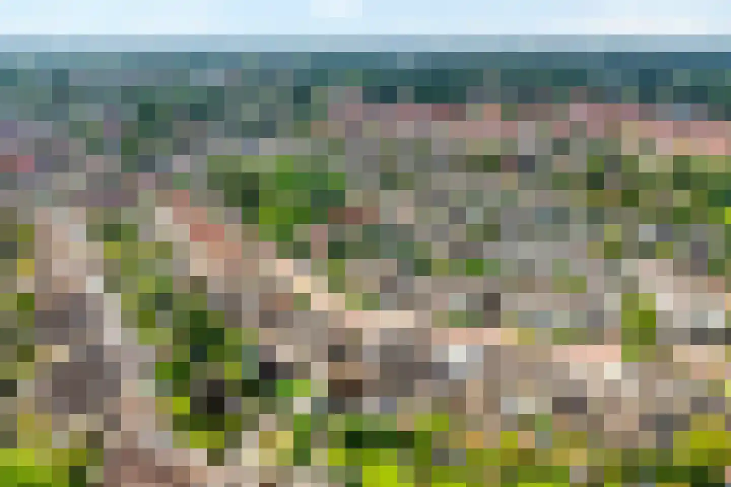 Zwaluwtong 1 Nijverdal thumbnail 54