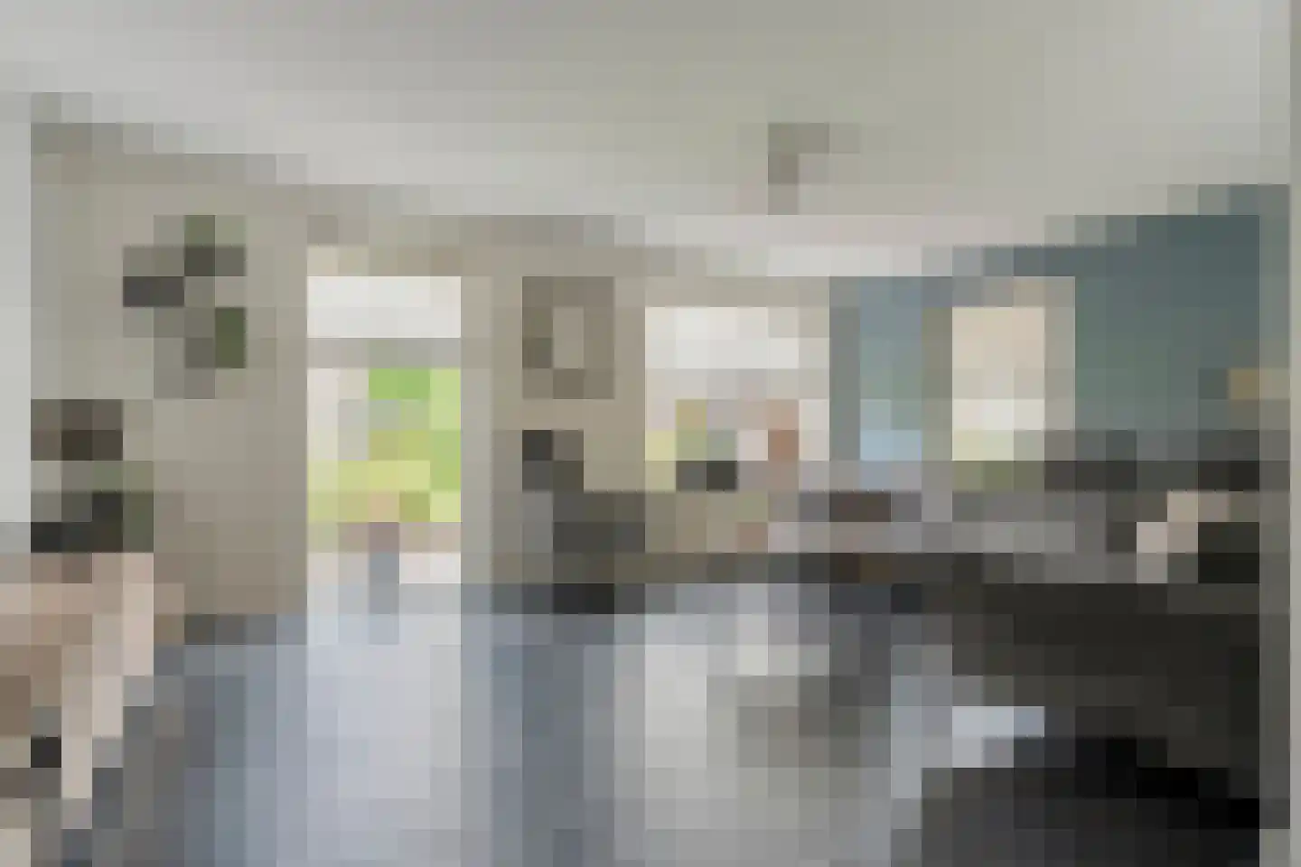 Zwaluwtong 1 Nijverdal thumbnail 7