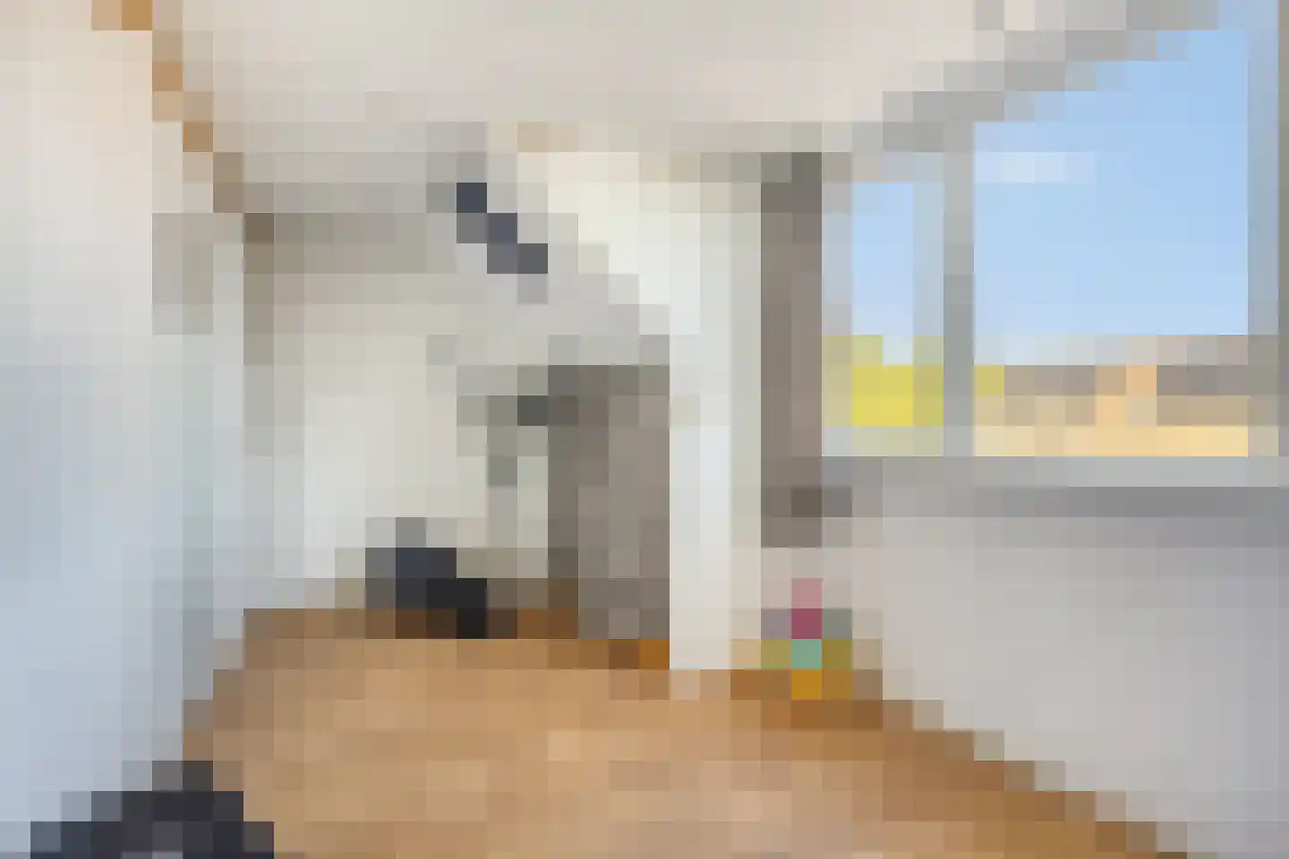 Zwaluwtong 104 Monnickendam thumbnail 35