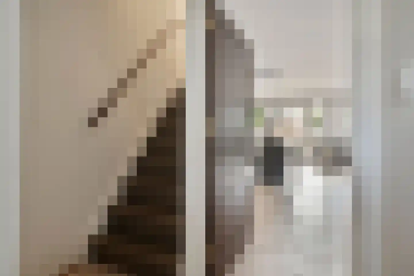 Zwaluwtong 104 Monnickendam thumbnail 9