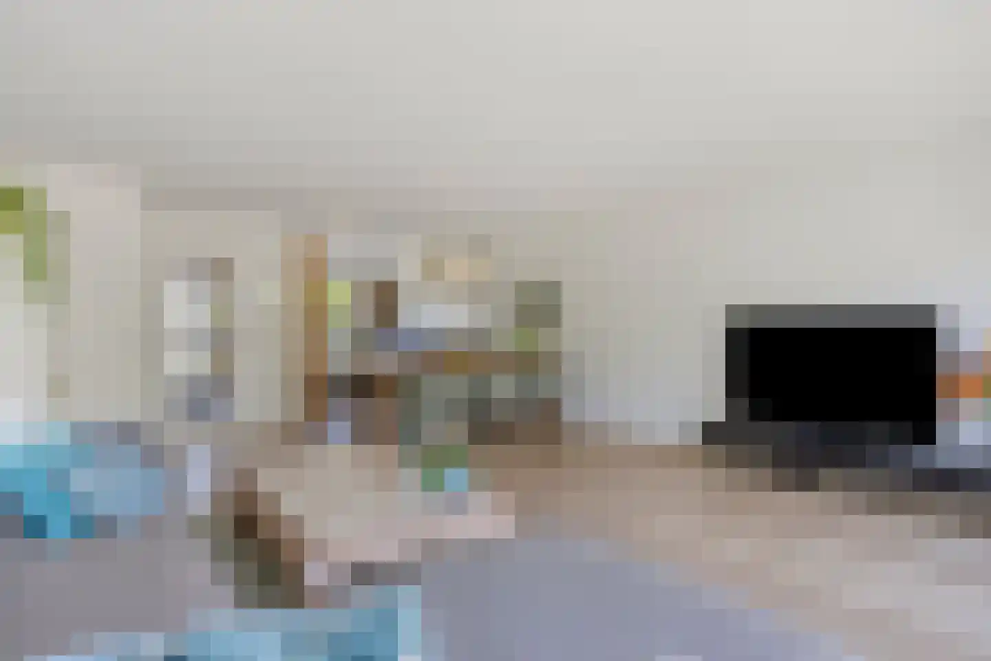 Zwaluwtong 30 Monnickendam thumbnail 18