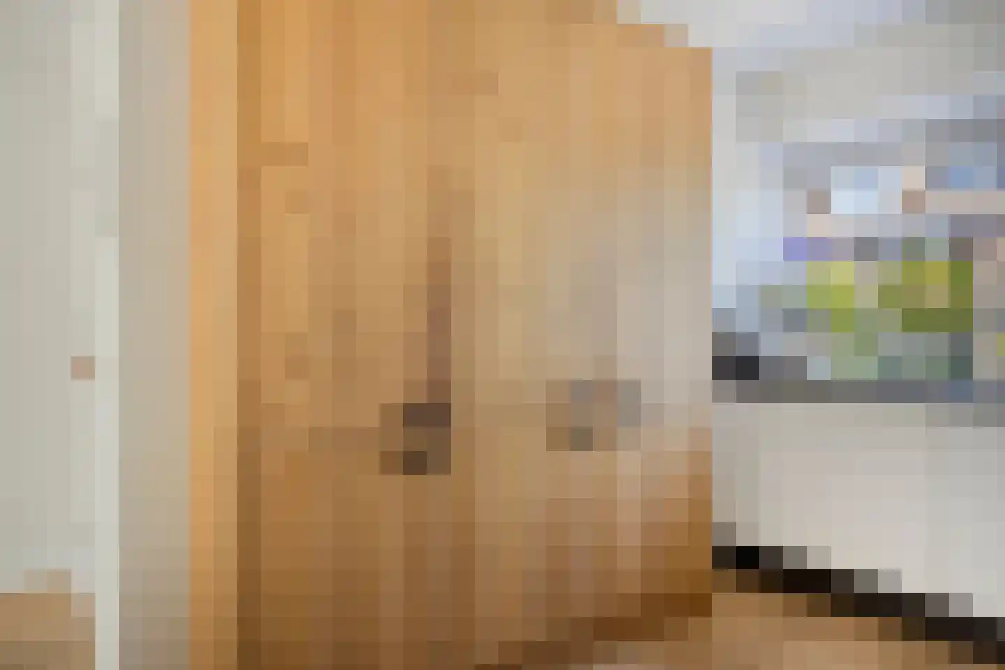 Zwaluwtong 30 Monnickendam thumbnail 24