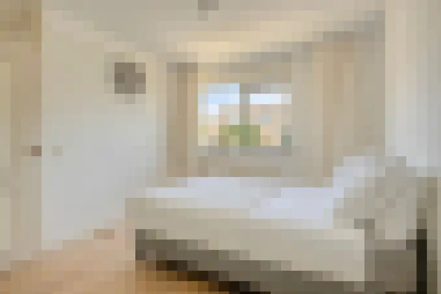 Zwaluwtong 30 Monnickendam thumbnail 27