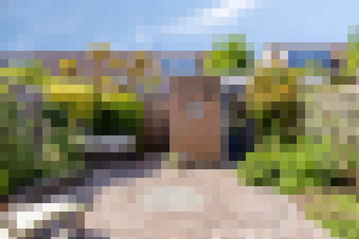 Zwaluwtong 30 Monnickendam thumbnail 5