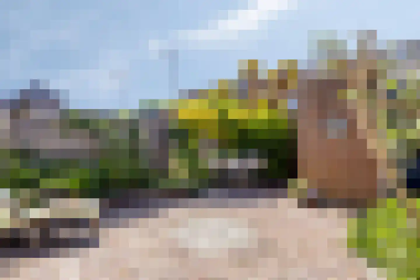 Zwaluwtong 30 Monnickendam thumbnail 56