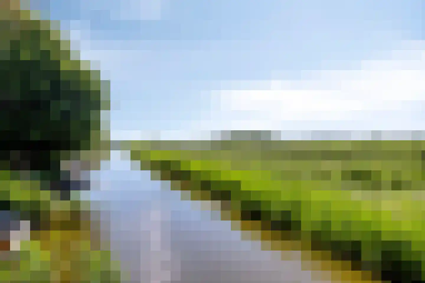 Zwaluwtong 30 Monnickendam thumbnail 65