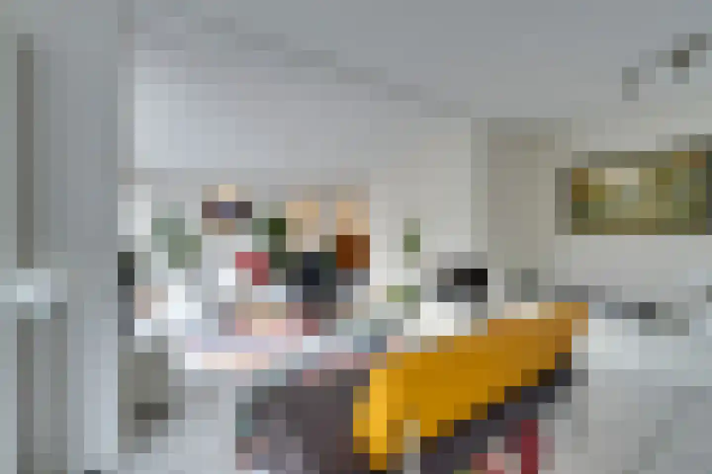 Zwaluwtong 47 Monnickendam thumbnail 11