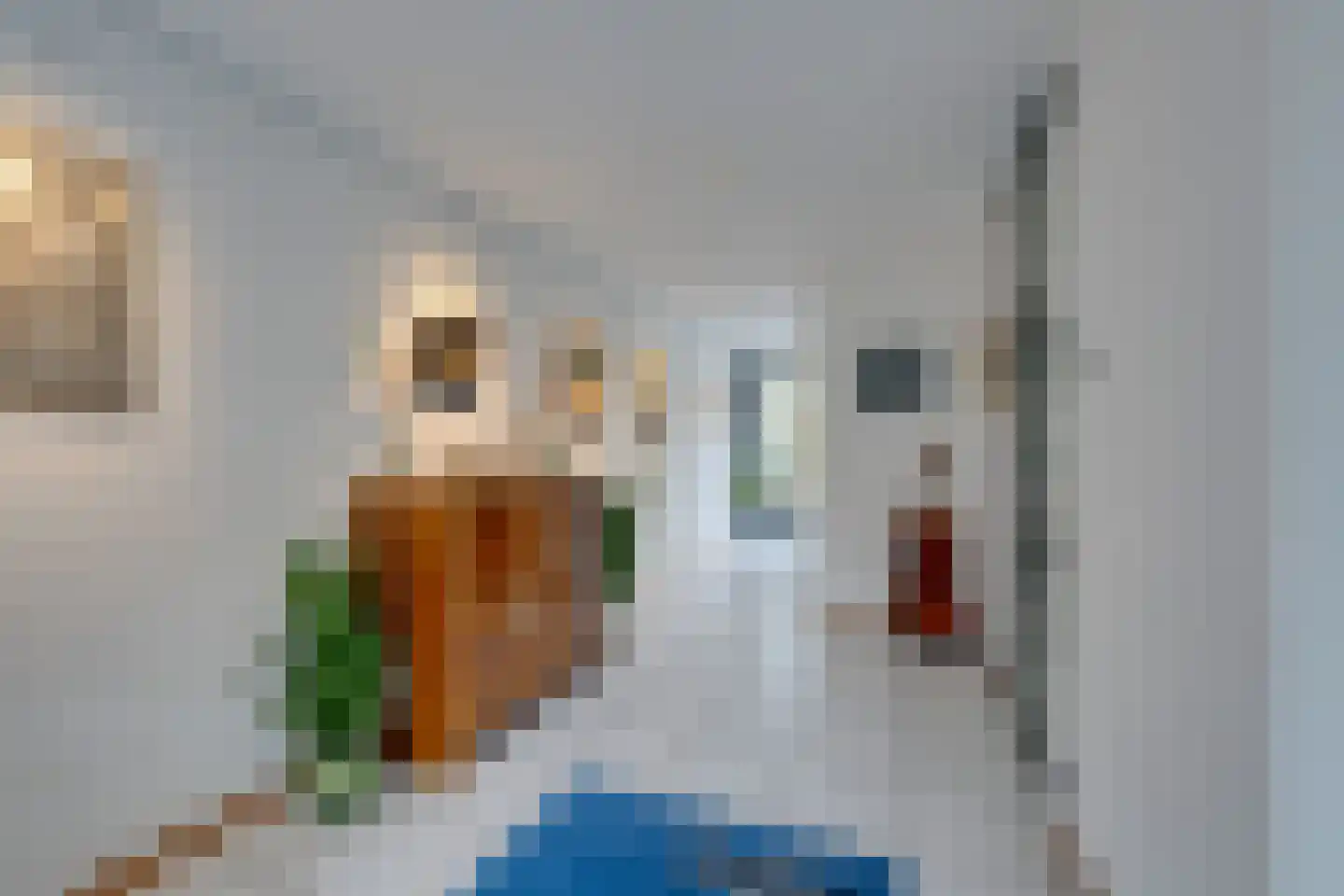Zwaluwtong 47 Monnickendam thumbnail 16