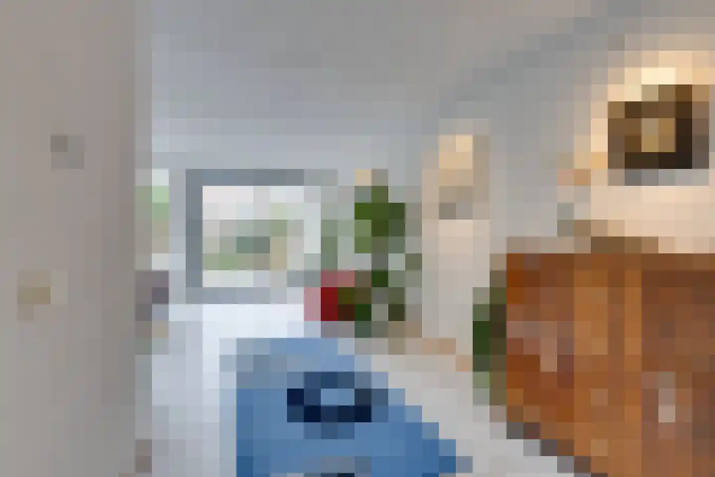 Zwaluwtong 47 Monnickendam thumbnail 17