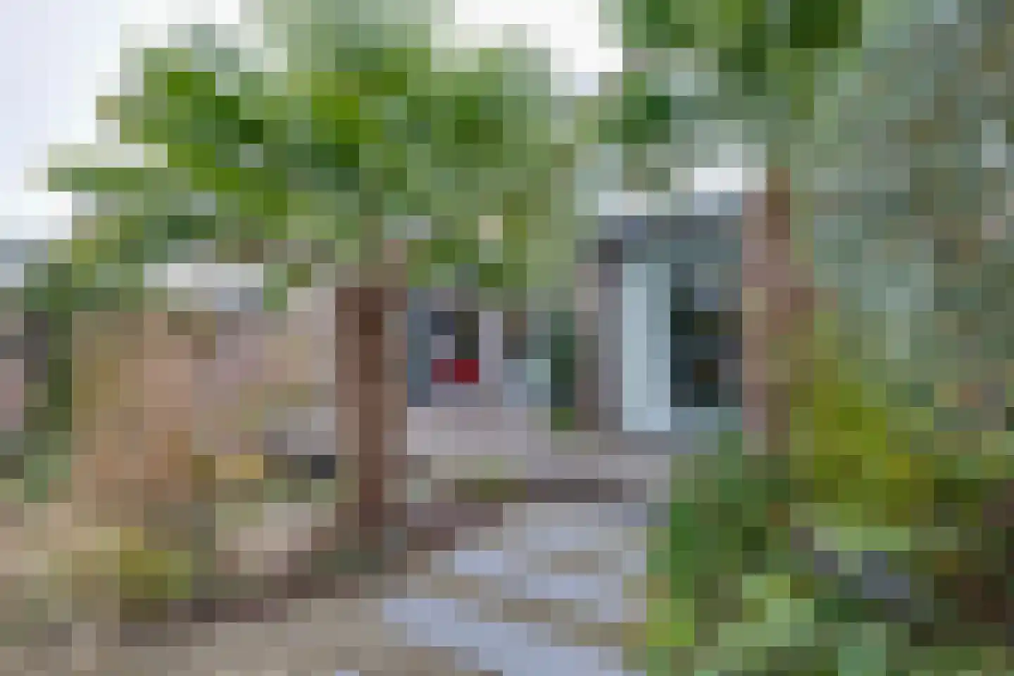 Zwaluwtong 47 Monnickendam thumbnail 30