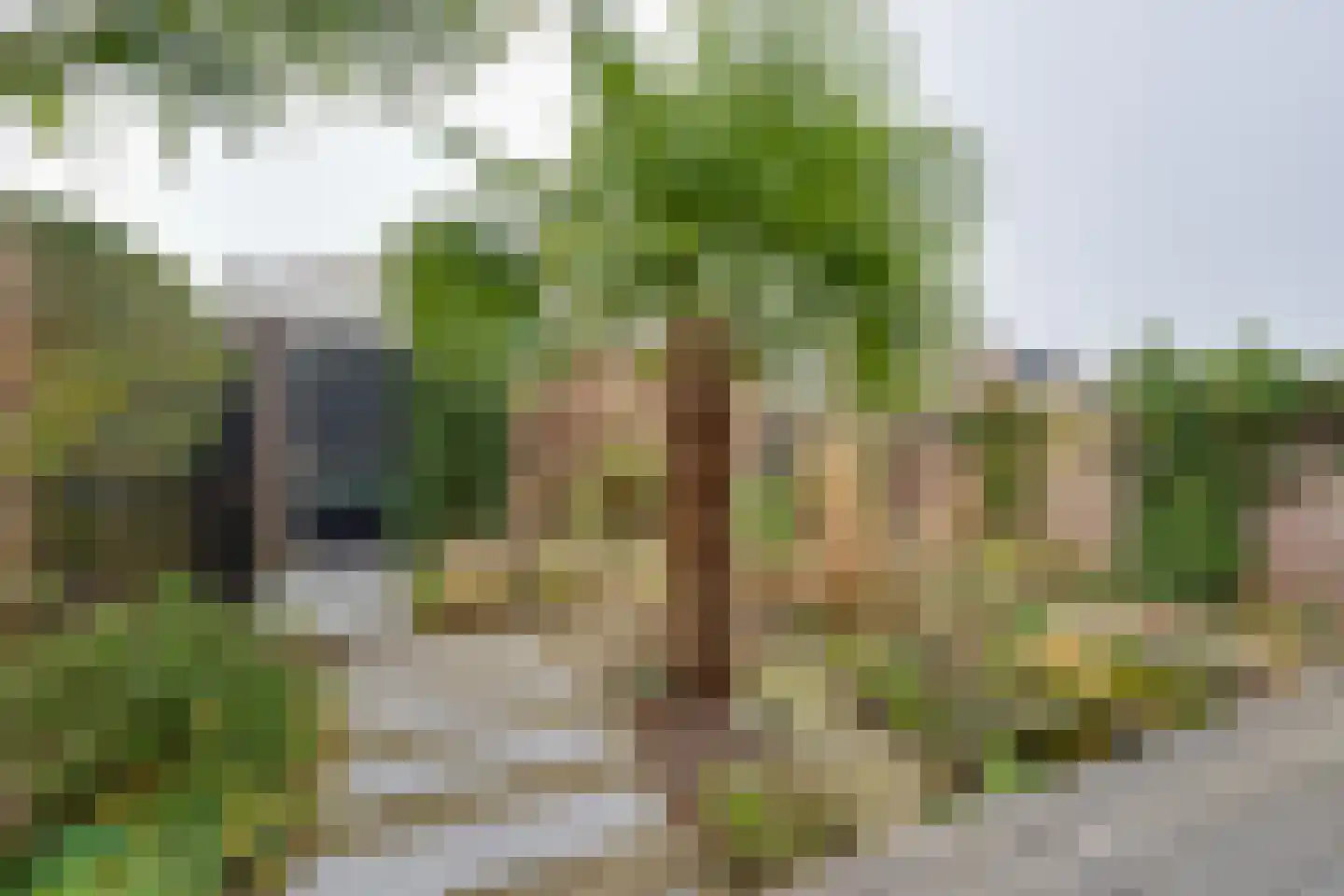 Zwaluwtong 47 Monnickendam thumbnail 31