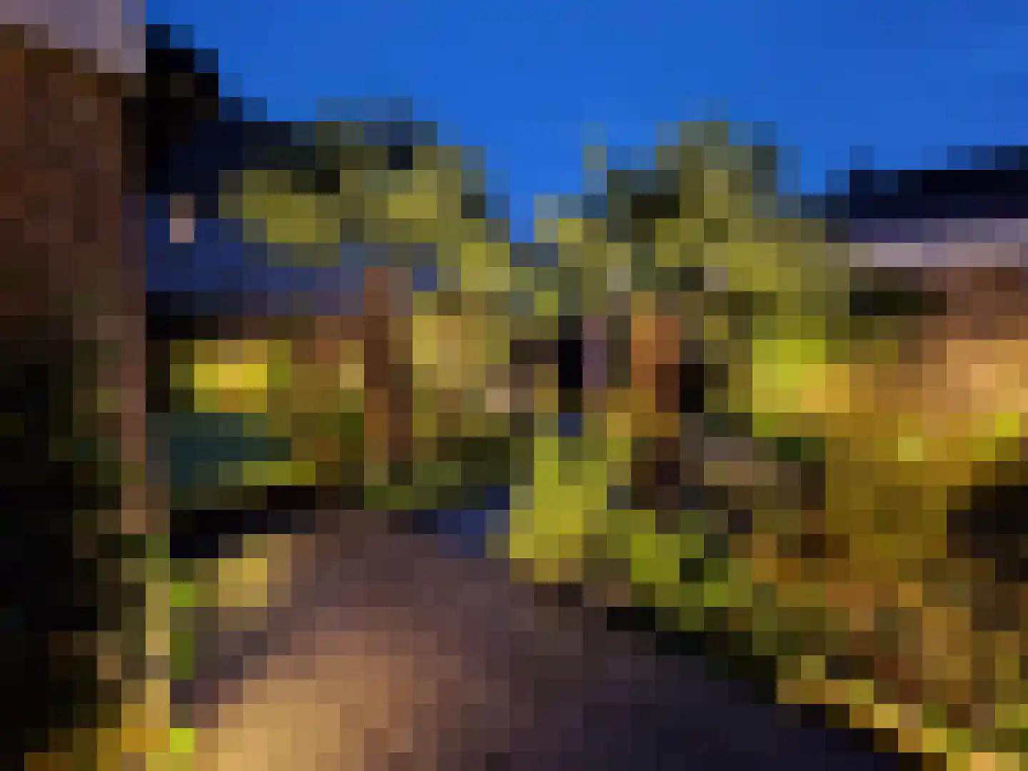 Zwaluwtong 47 Monnickendam thumbnail 32