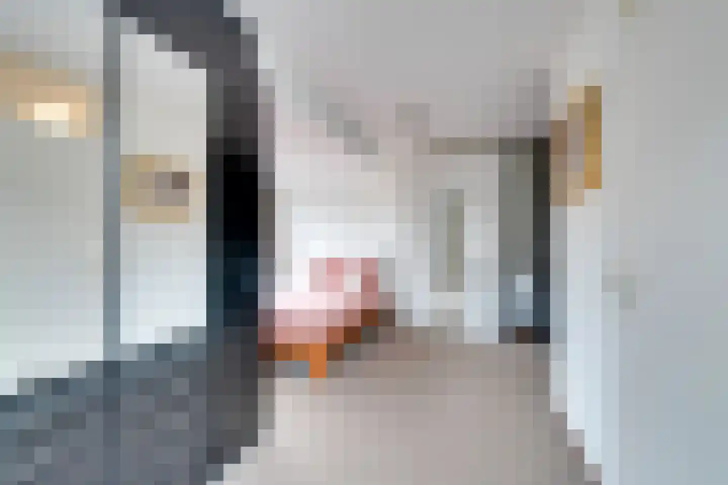 Zwaluwtong 47 Monnickendam thumbnail 38