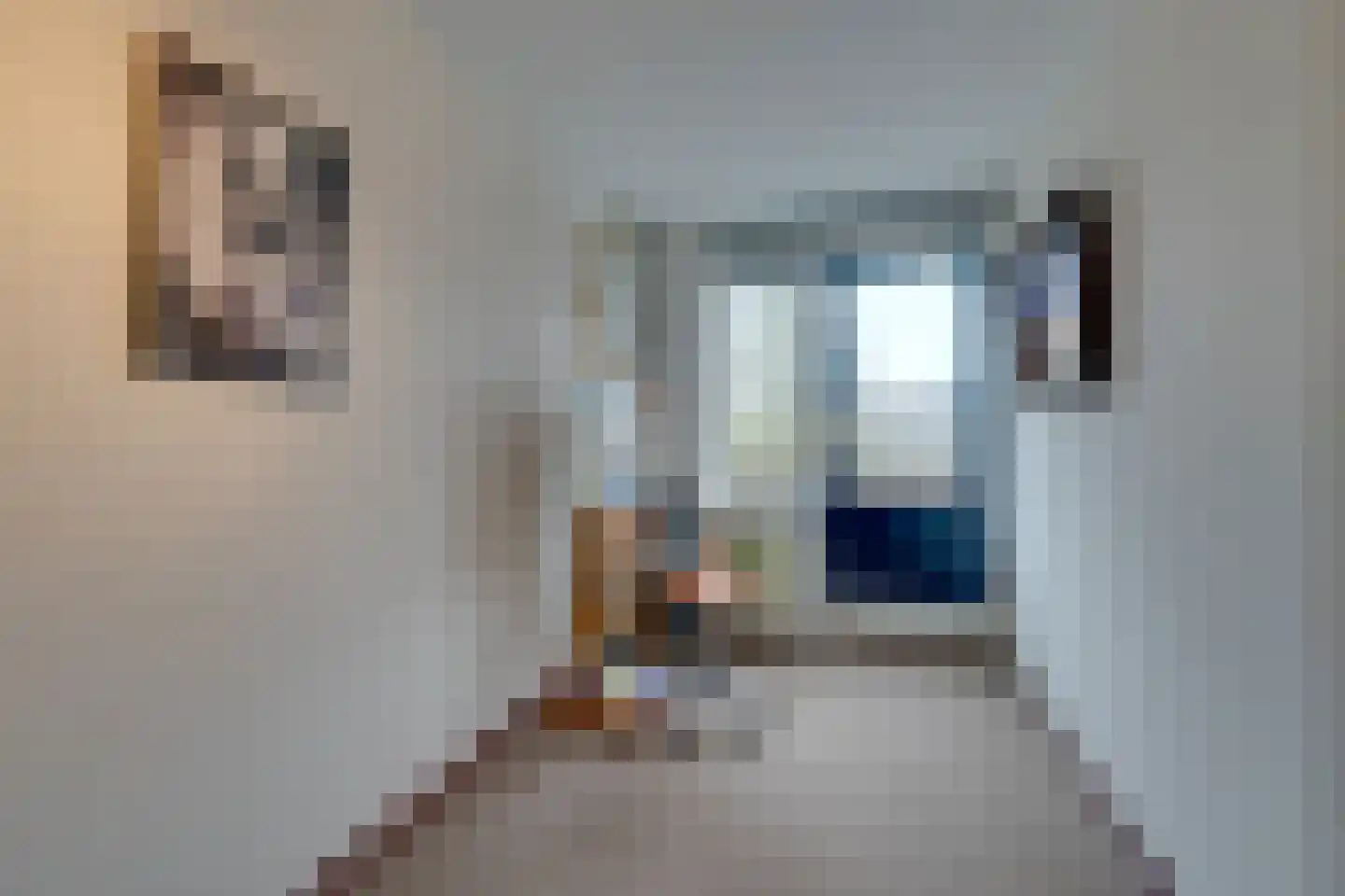 Zwaluwtong 47 Monnickendam thumbnail 49