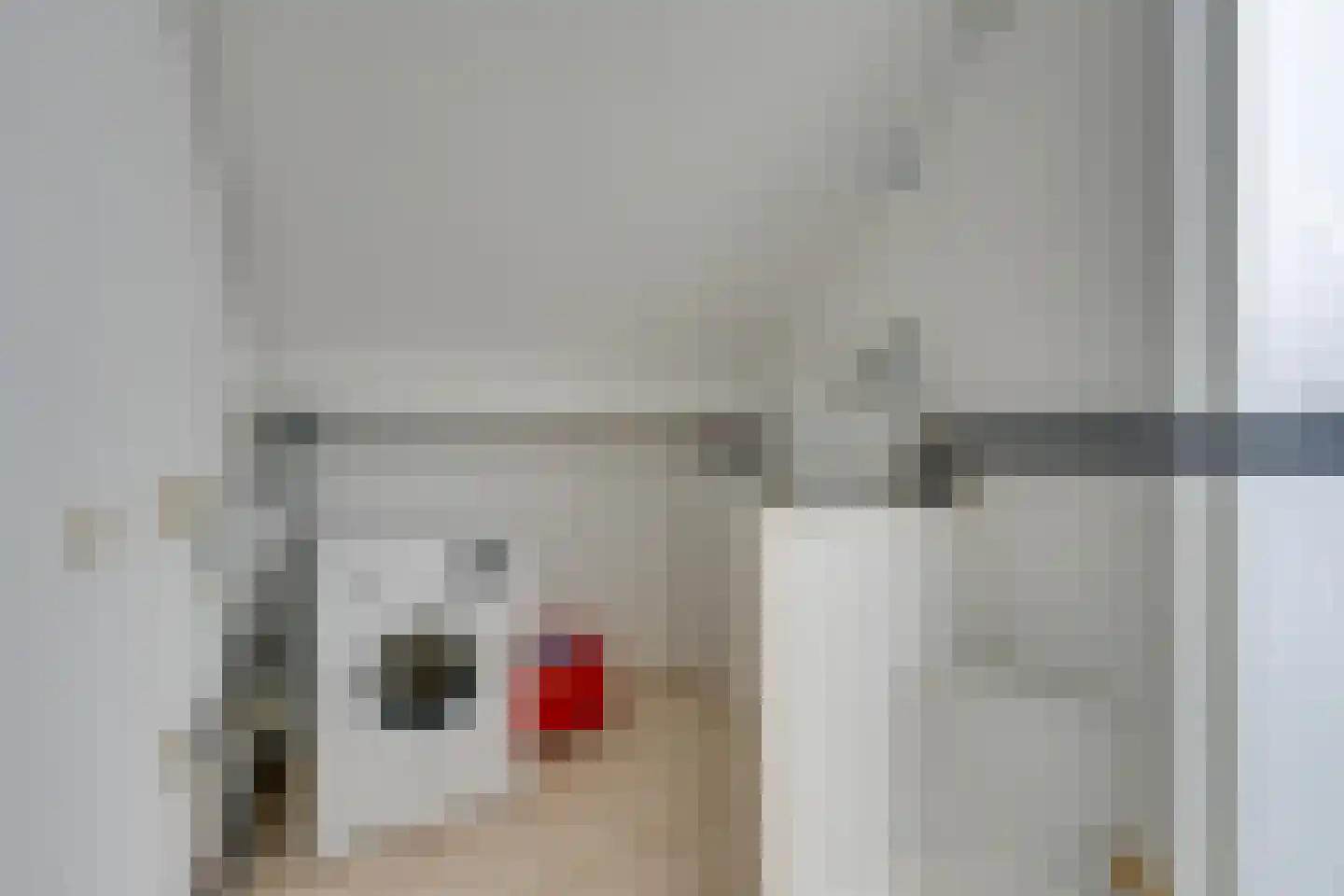 Zwaluwtong 47 Monnickendam thumbnail 57