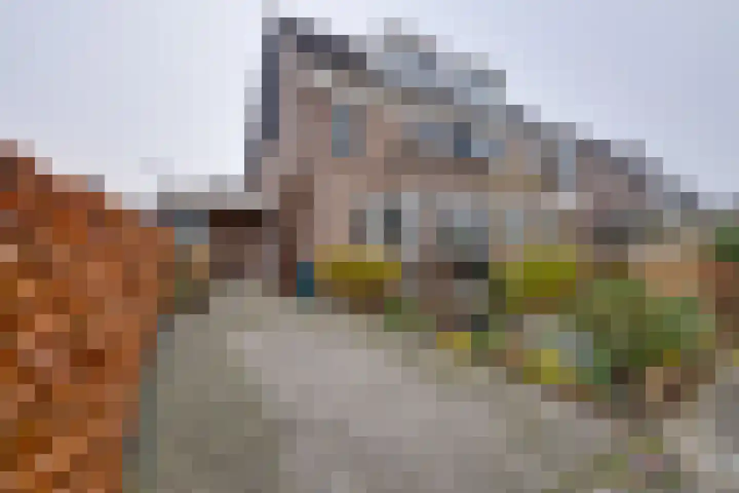 Zwaluwtong 47 Monnickendam thumbnail 60