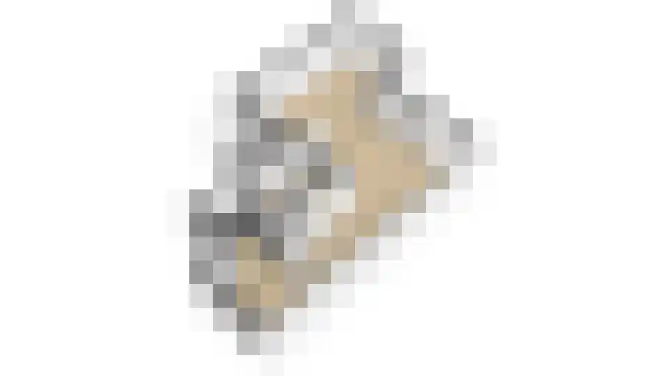 Zwaluwtong 47 Monnickendam thumbnail 67