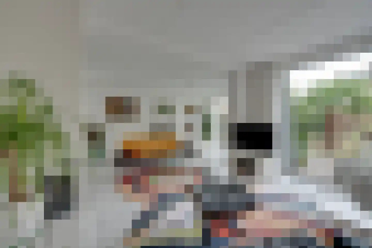 Zwaluwtong 47 Monnickendam thumbnail 7