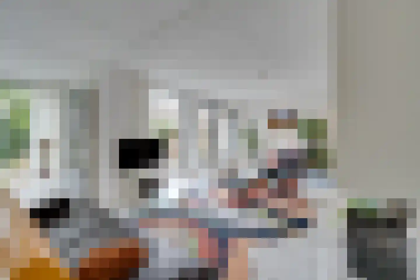 Zwaluwtong 47 Monnickendam thumbnail 8