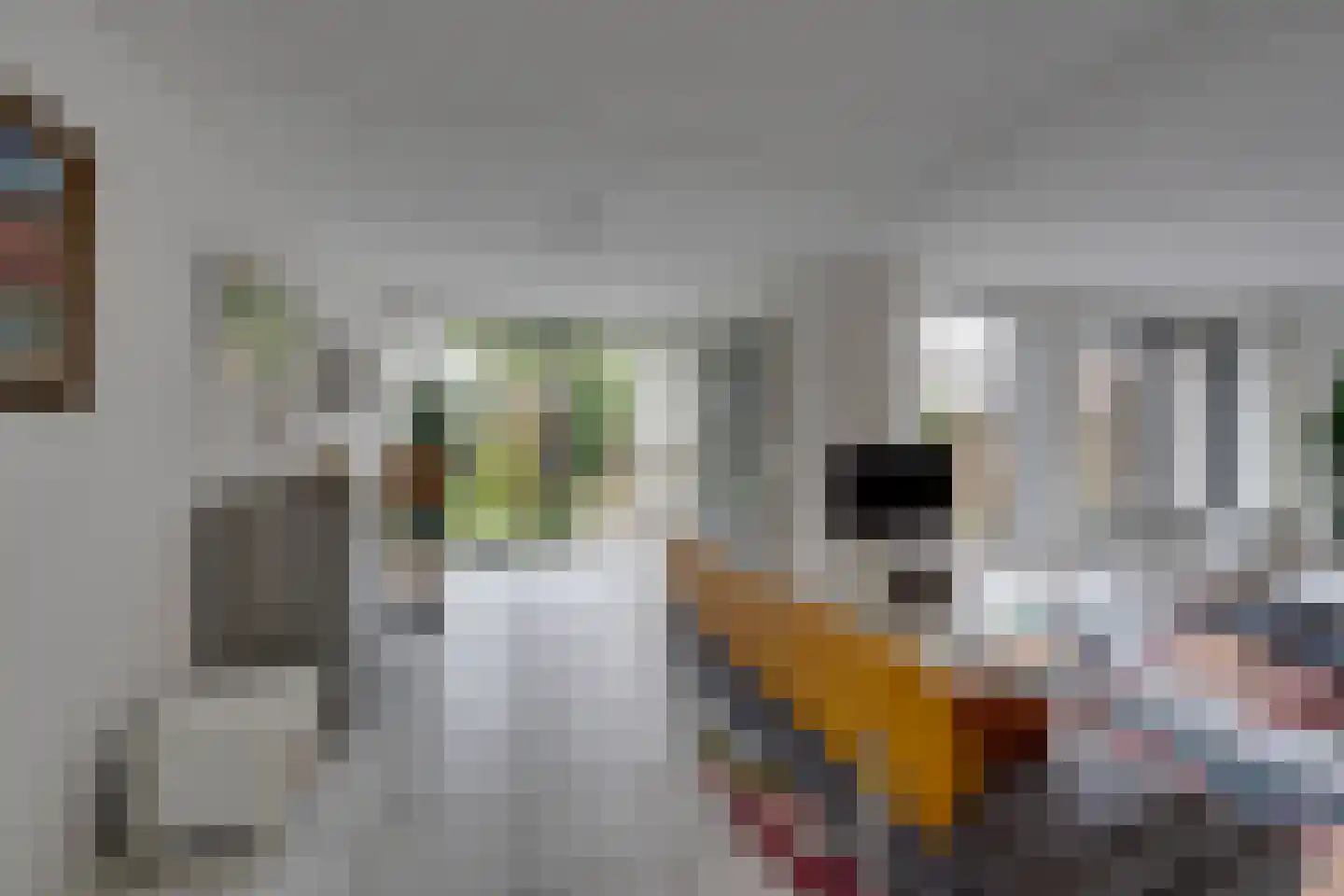 Zwaluwtong 47 Monnickendam thumbnail 9