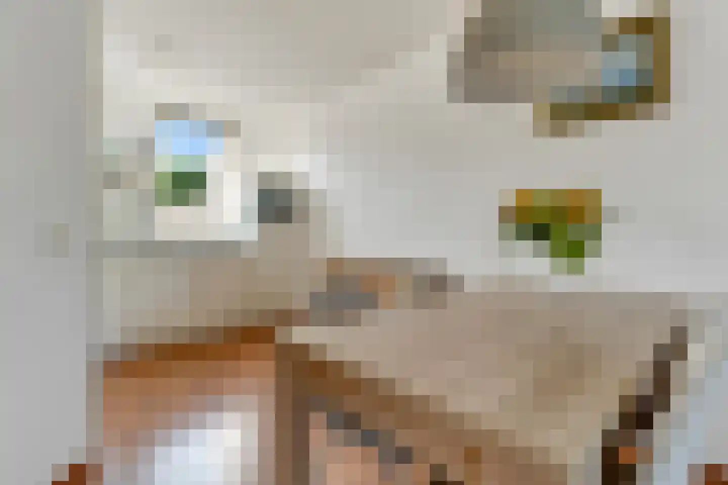 Zwaluwtong 5 Nijverdal thumbnail 10