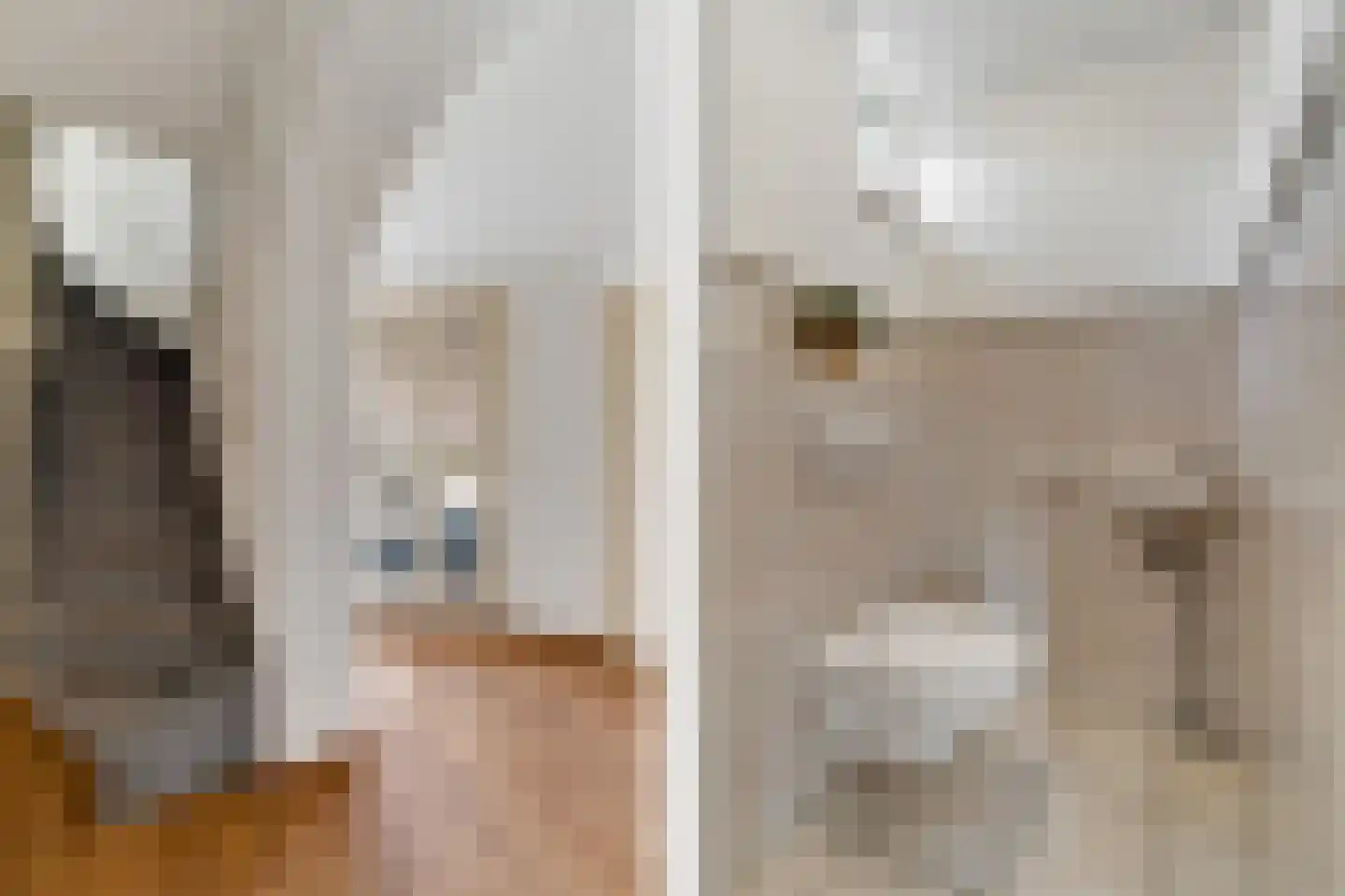 Zwaluwtong 5 Nijverdal thumbnail 14