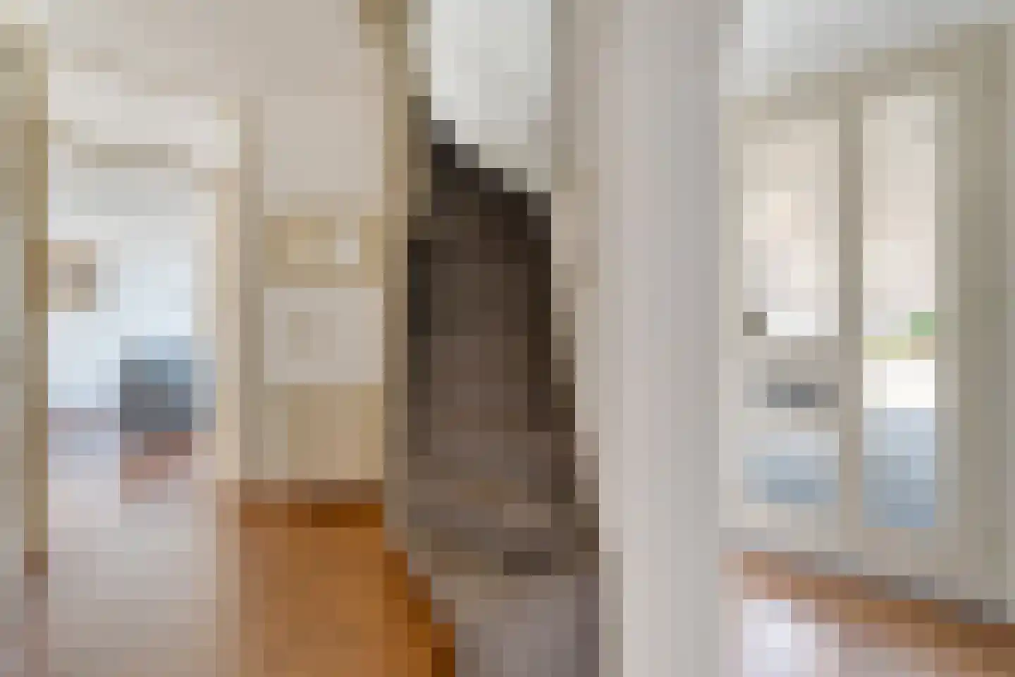 Zwaluwtong 5 Nijverdal thumbnail 15