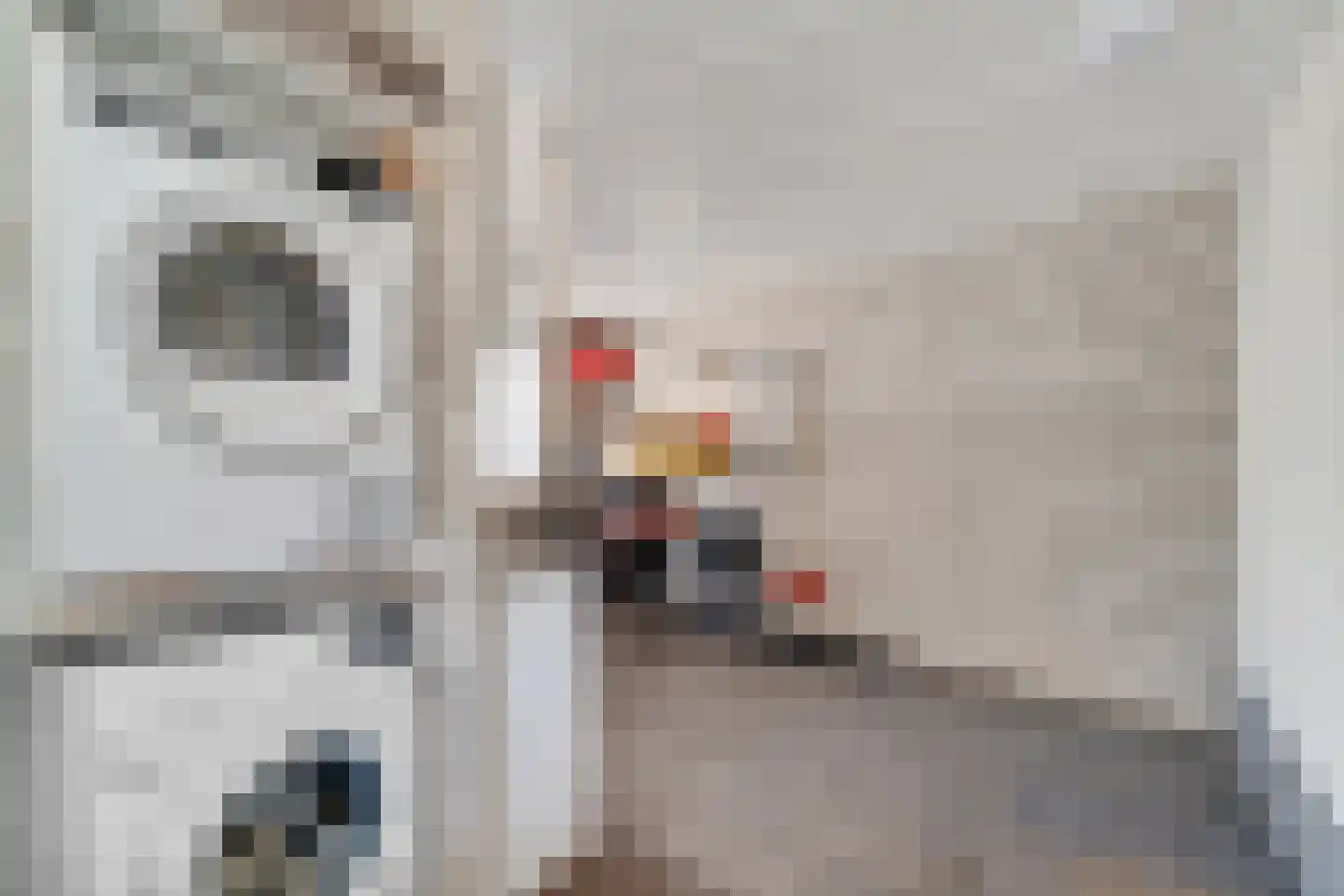 Zwaluwtong 5 Nijverdal thumbnail 16