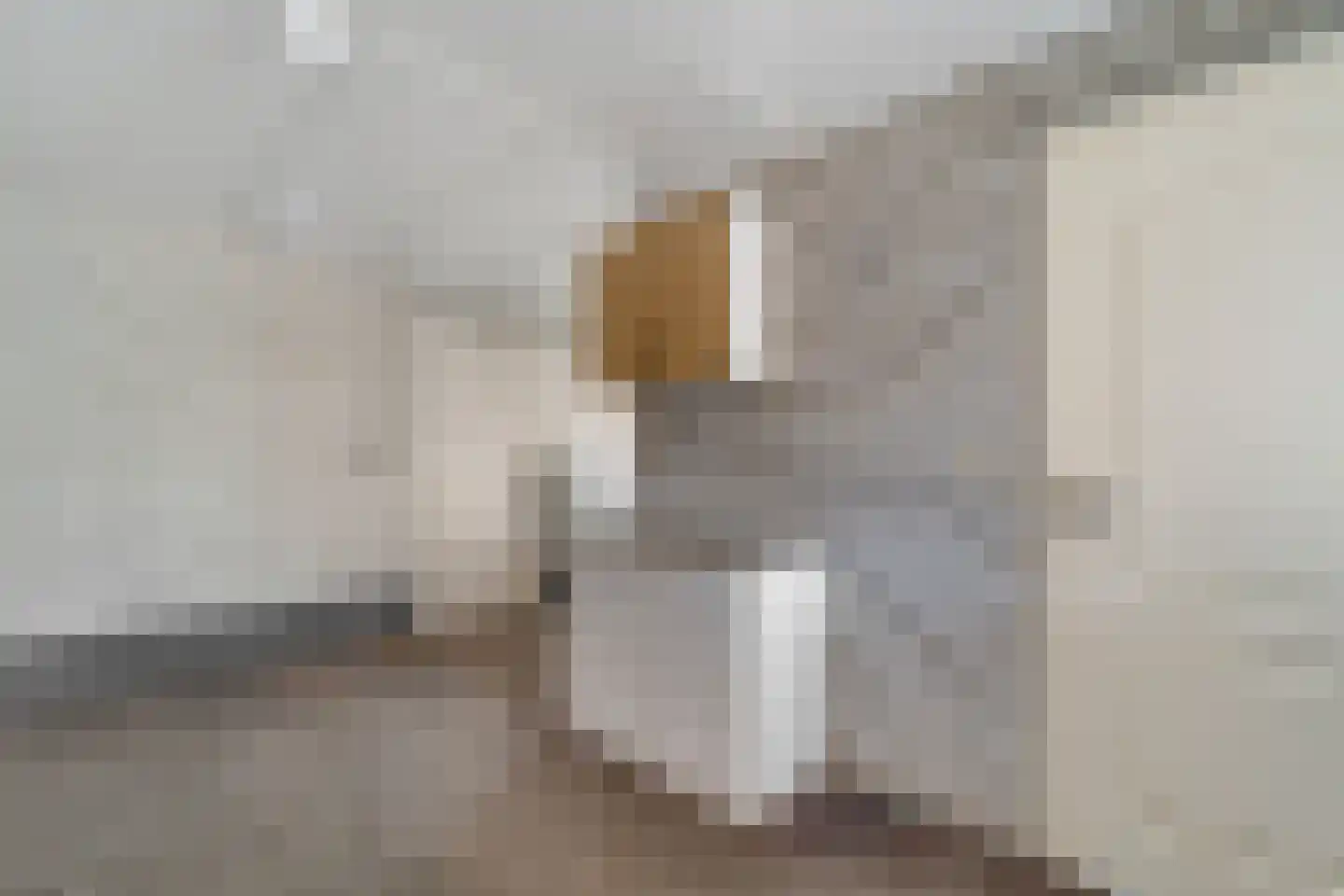 Zwaluwtong 5 Nijverdal thumbnail 17