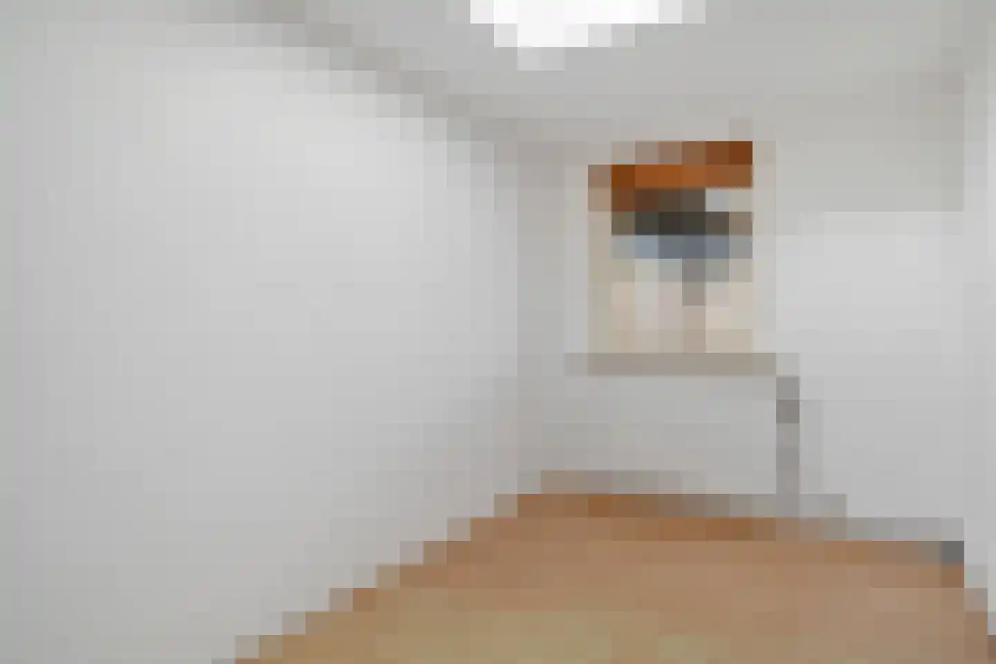 Zwaluwtong 5 Nijverdal thumbnail 18