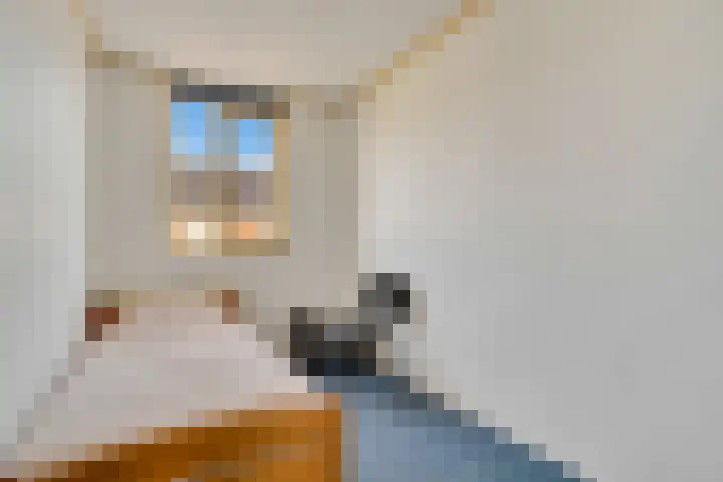 Zwaluwtong 5 Nijverdal thumbnail 20
