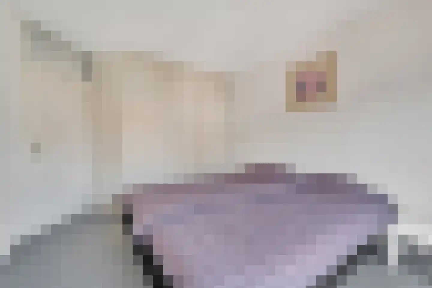 Zwaluwtong 5 Nijverdal thumbnail 25