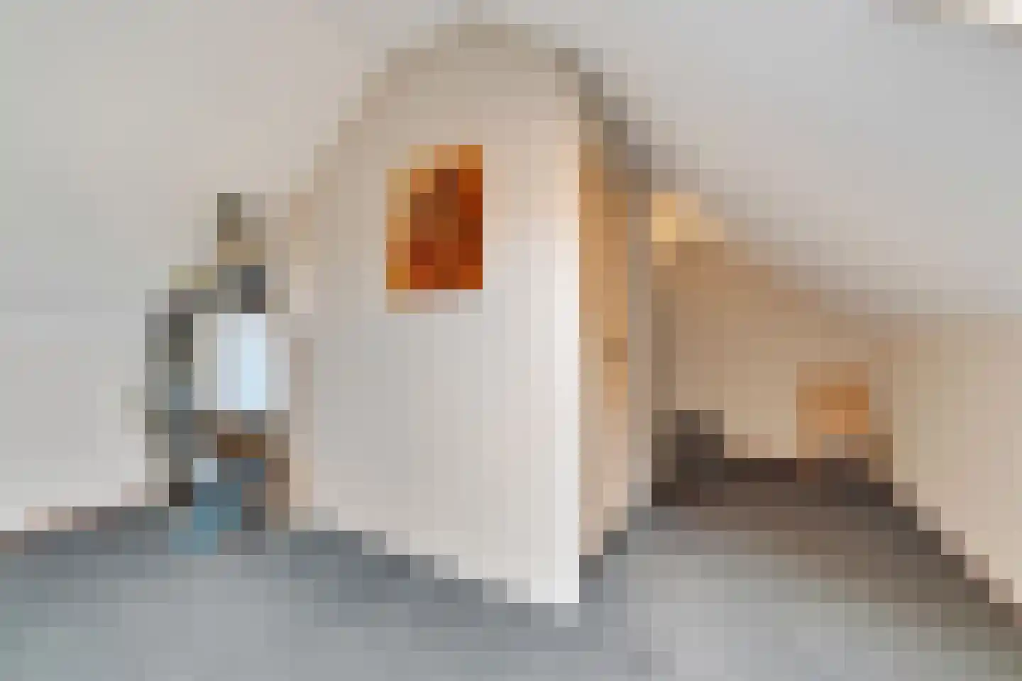 Zwaluwtong 5 Nijverdal thumbnail 30