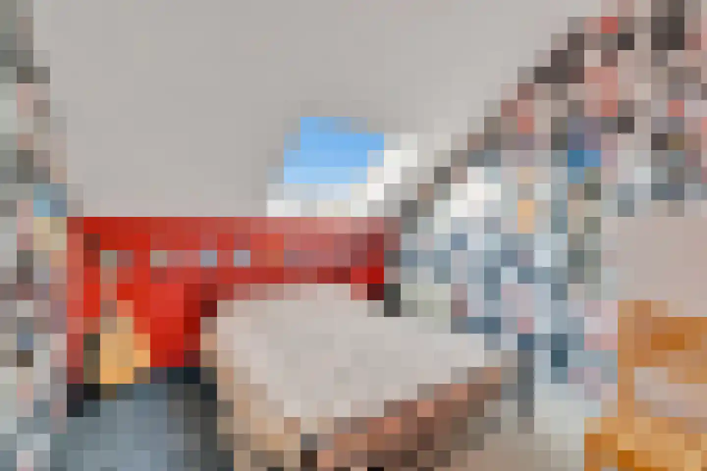 Zwaluwtong 5 Nijverdal thumbnail 31