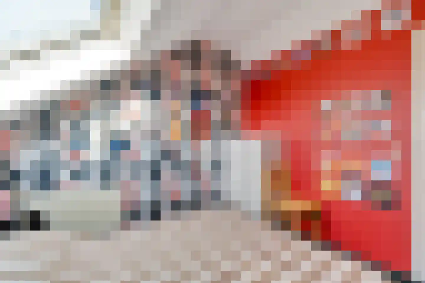 Zwaluwtong 5 Nijverdal thumbnail 32