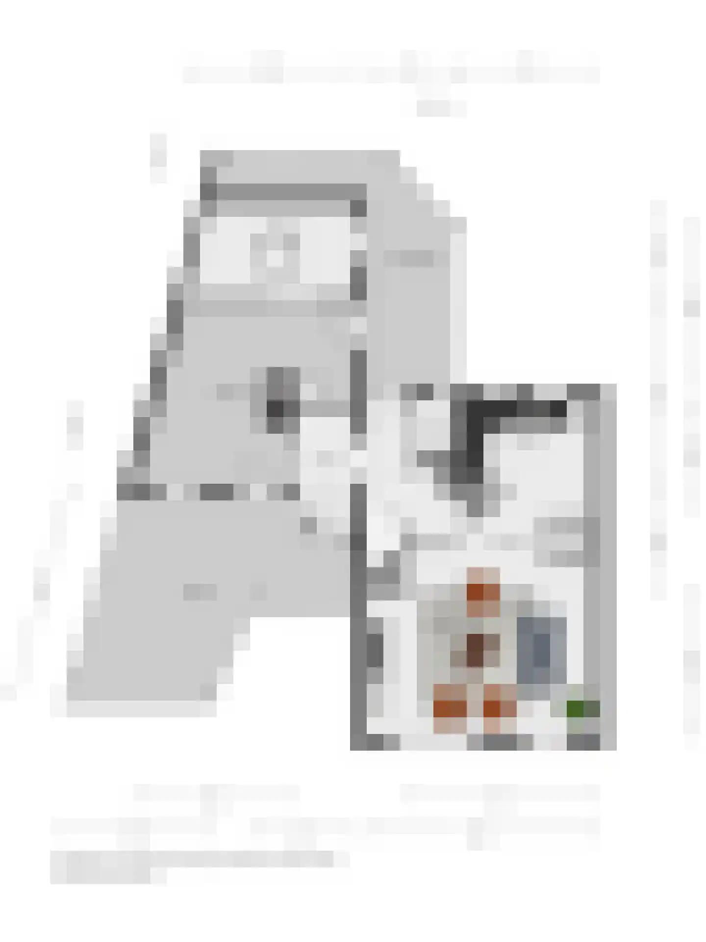 Zwaluwtong 5 Nijverdal thumbnail 39